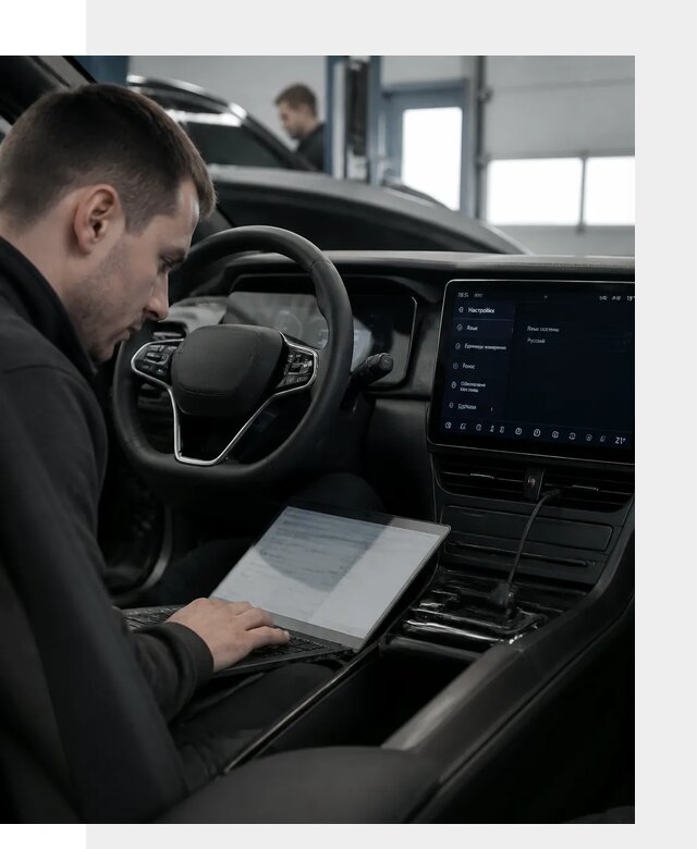 Русификация автомобилей BYD под ключ для всех моделей в Новокубанске